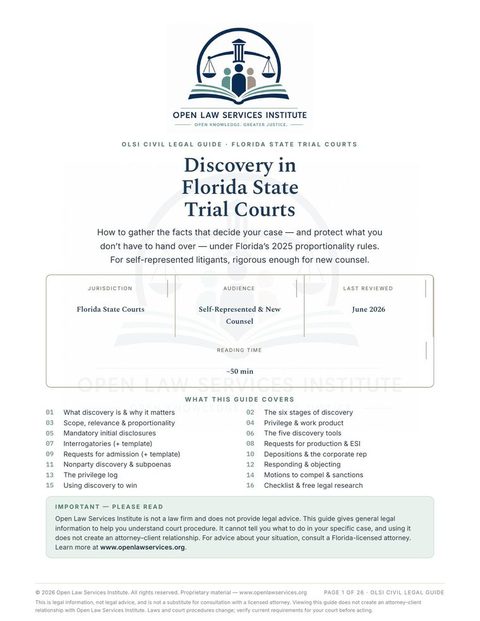 Cover of The Basics of Discovery