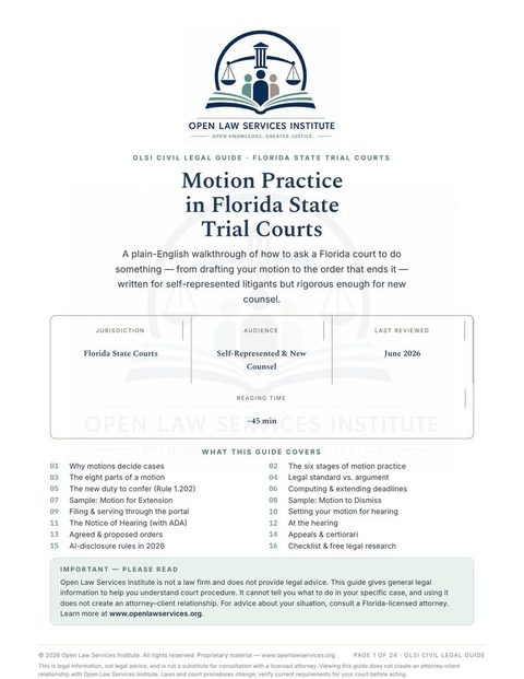 Cover of Motion Practice in Florida State Courts